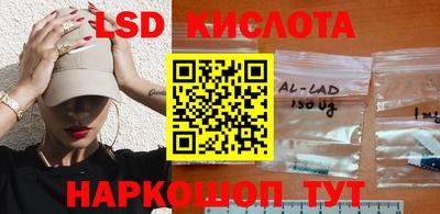 шишки Владимир