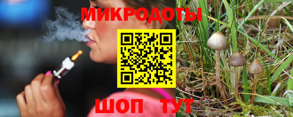 Котельники  Псилоцибиновые грибы Magic Shrooms  Вход с VPN 